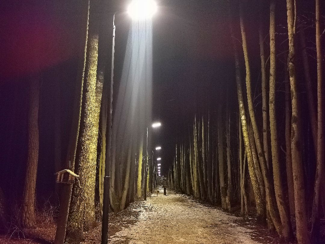 #Подольск #Дубрава