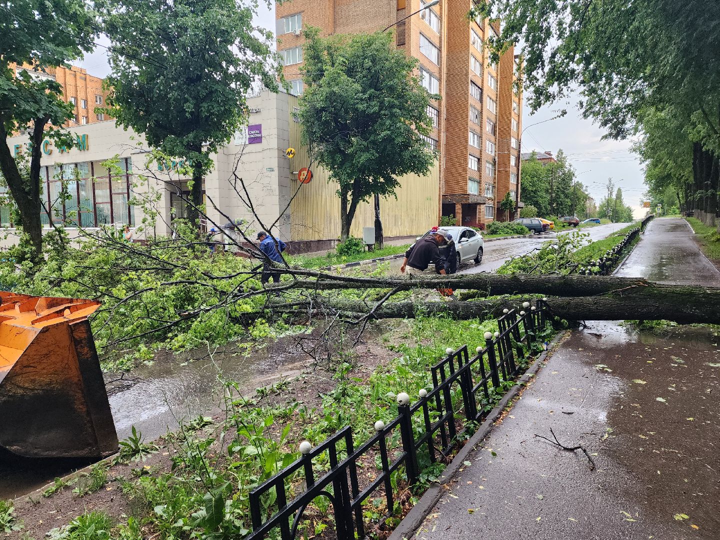 красноармейск, г.о. пушкинский, ликвидация последствий непогоды, дороги,