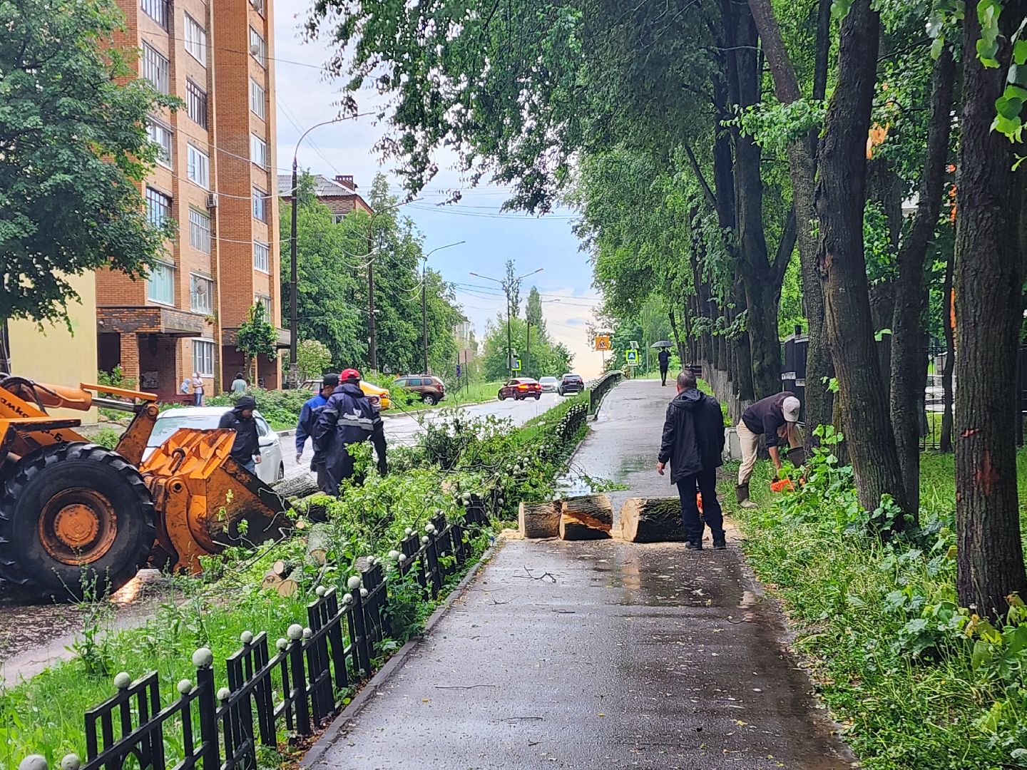 красноармейск, г.о. пушкинский, ликвидация последствий непогоды, дороги,