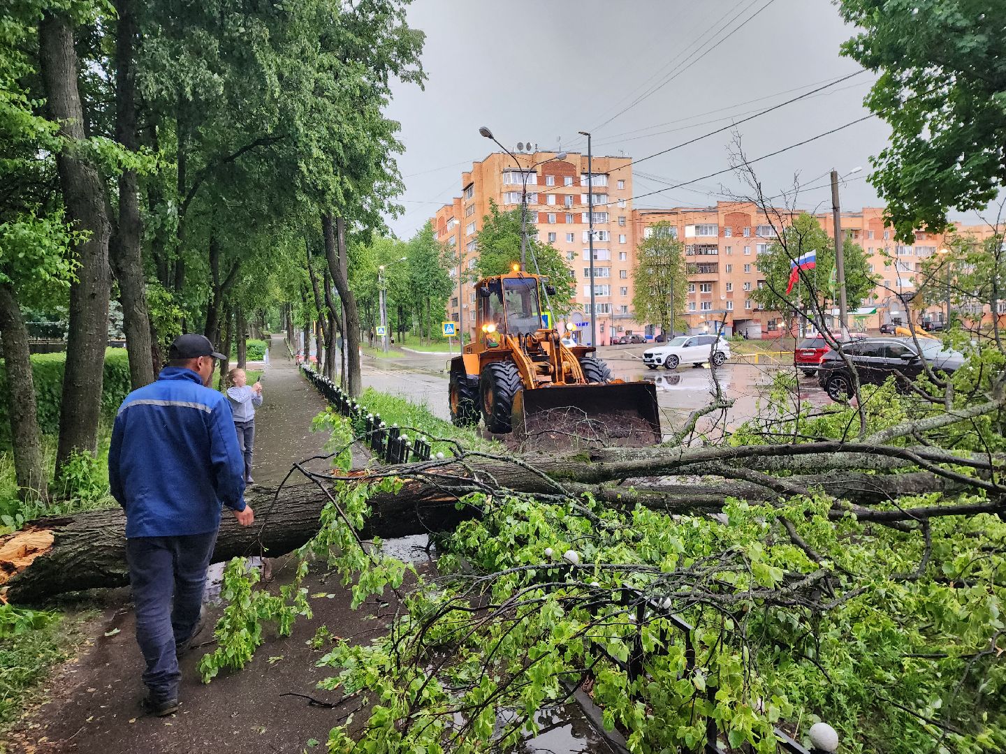 красноармейск, г.о. пушкинский, ликвидация последствий непогоды, дороги,
