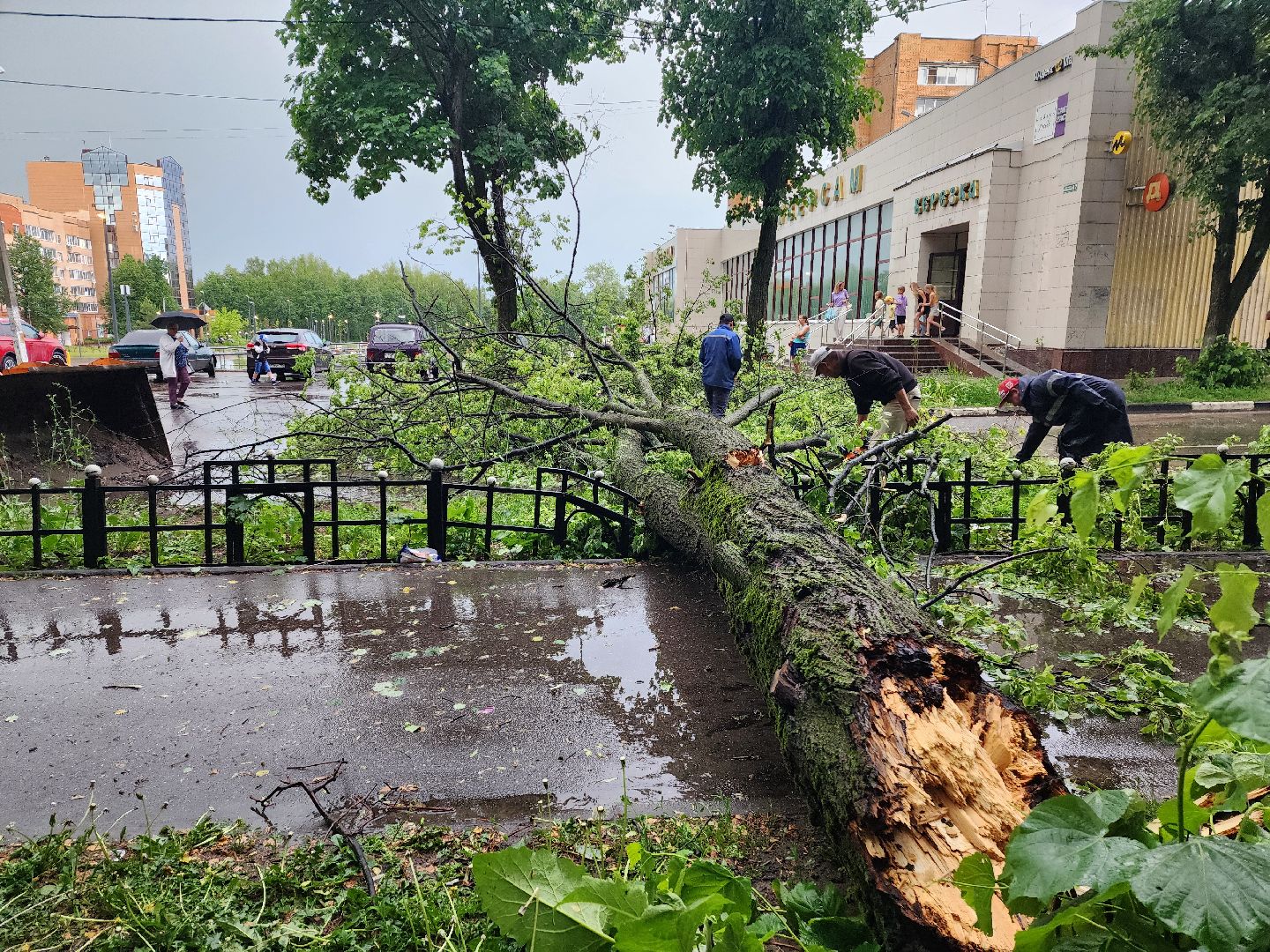 красноармейск, г.о. пушкинский, ликвидация последствий непогоды, дороги,