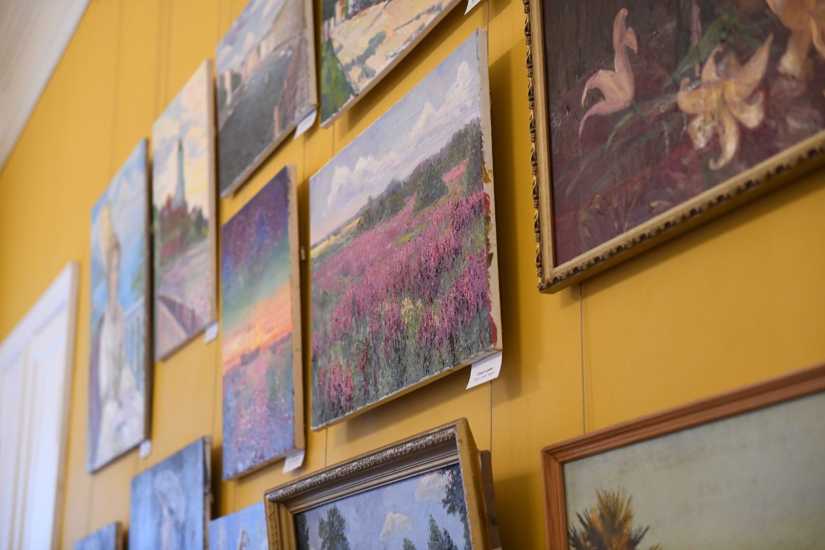 лыткарино, культура, музей, выставка картин,