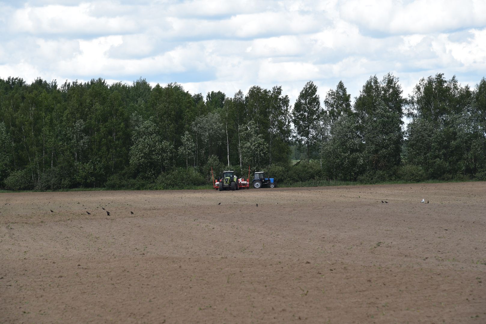 лотошино, посевная 2024, сельское хозяйство, трактор,