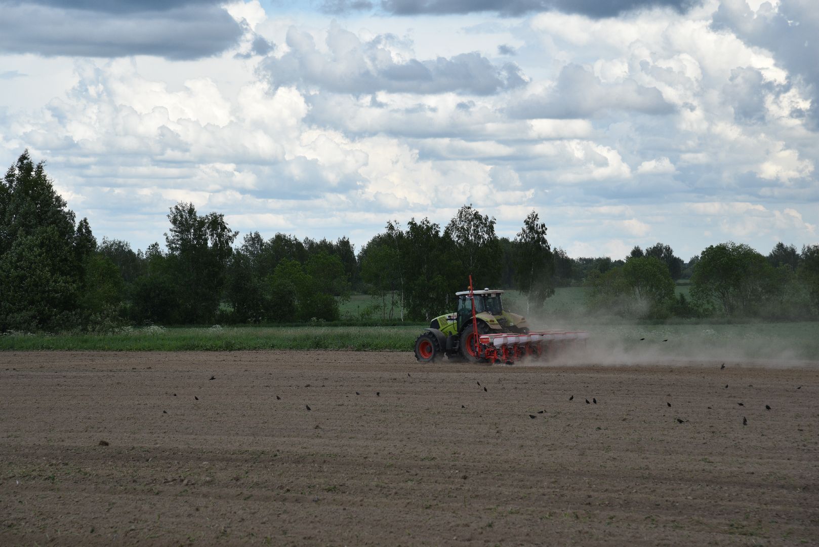 лотошино, посевная 2024, сельское хозяйство, трактор,