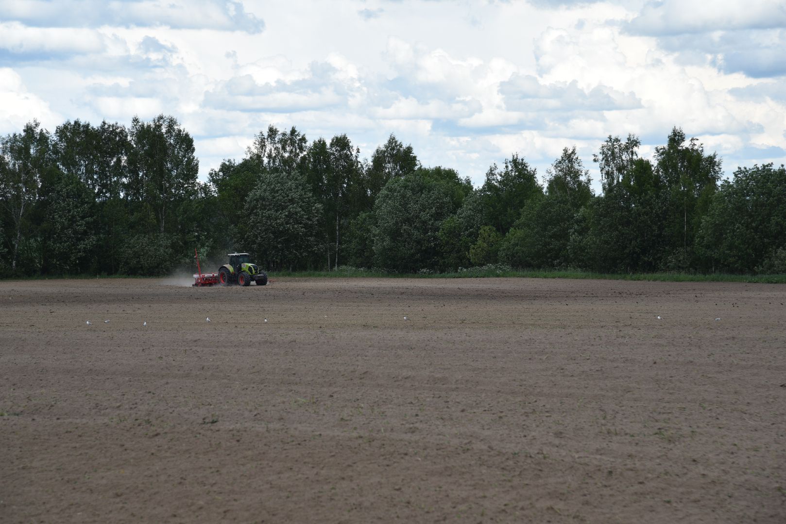 лотошино, посевная 2024, сельское хозяйство, трактор,