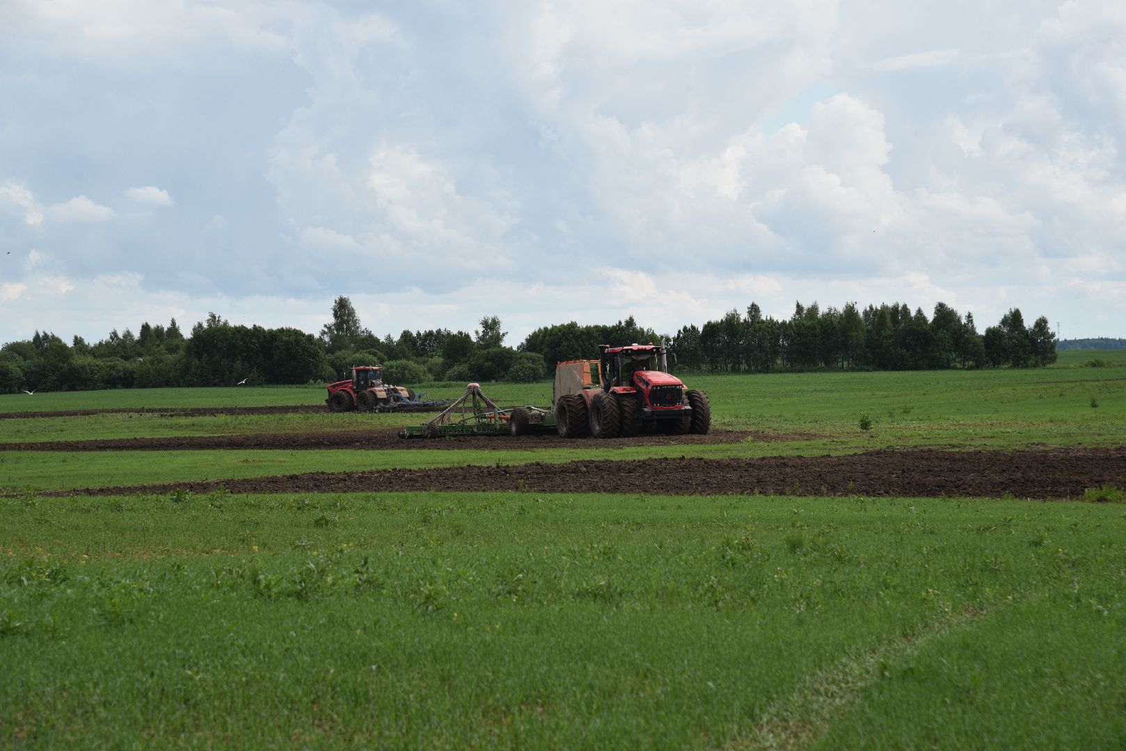лотошино, посевная 2024, сельское хозяйство, трактор,