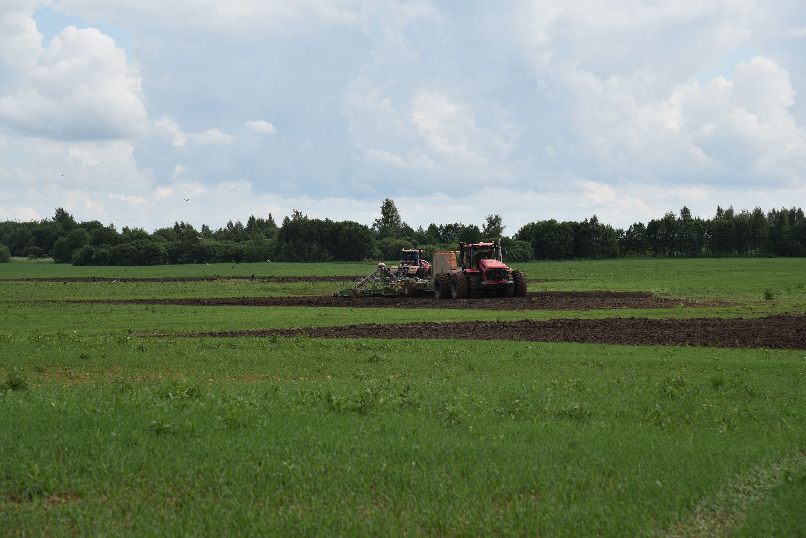 лотошино, посевная 2024, сельское хозяйство, трактор,