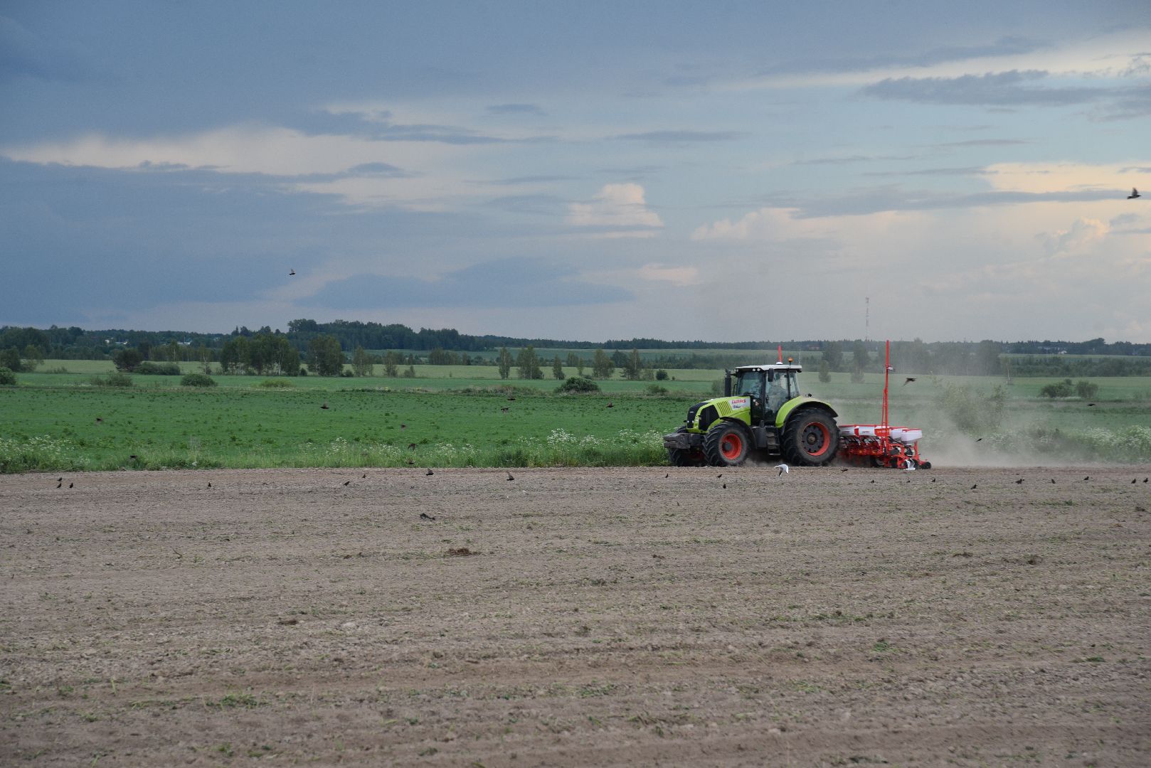 лотошино, посевная 2024, сельское хозяйство, трактор,