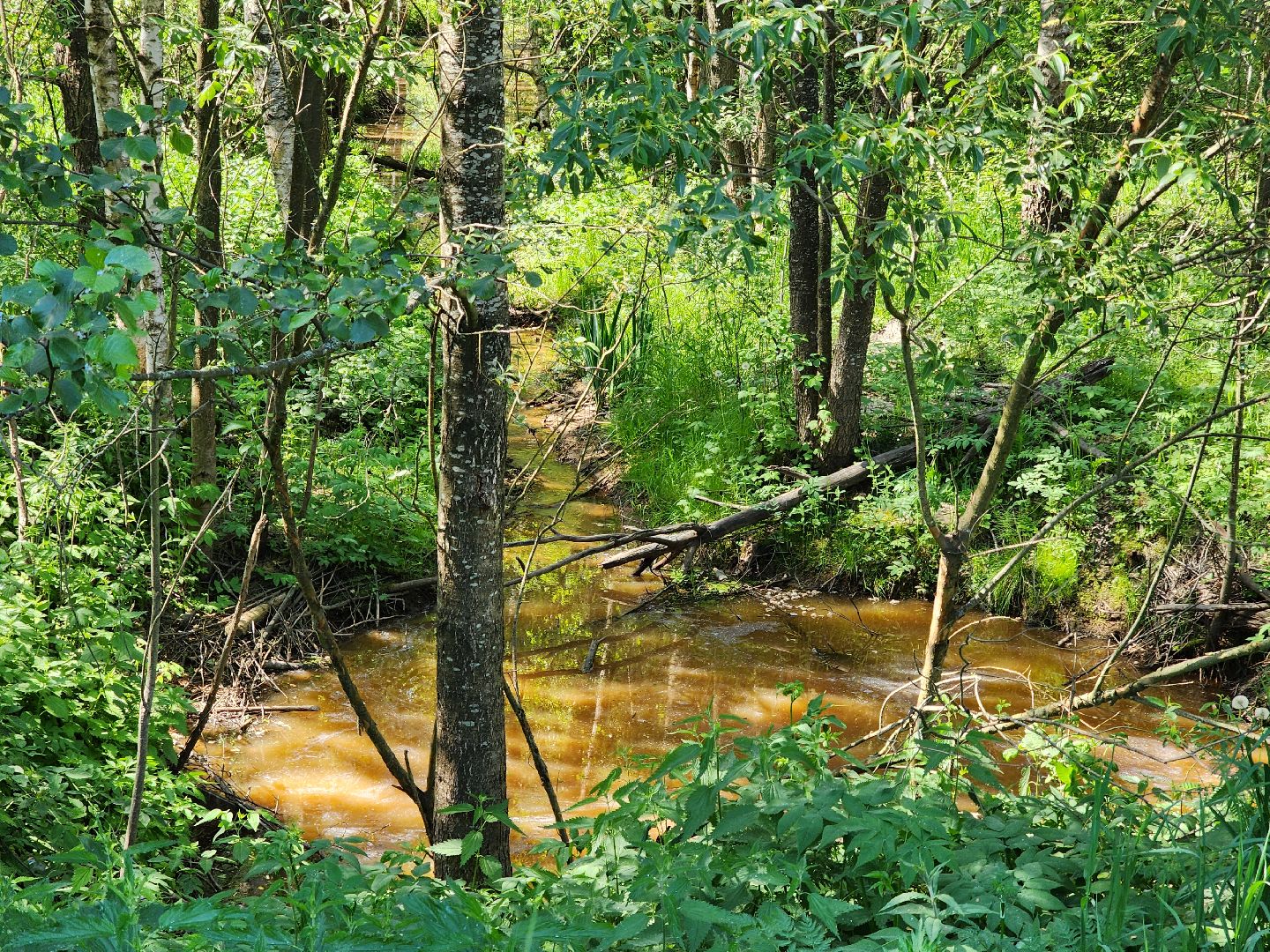 ногинск, наводнение, паводки, снт, дороги, глава округа, богородский городский округ,