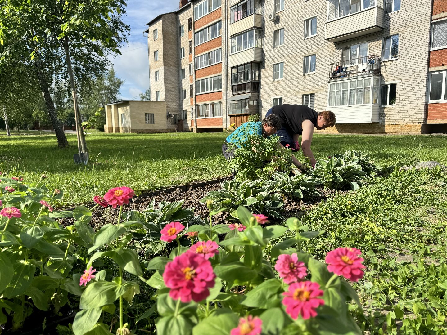 шаховская, высадка цветов, коммунальная служба, клумбы,