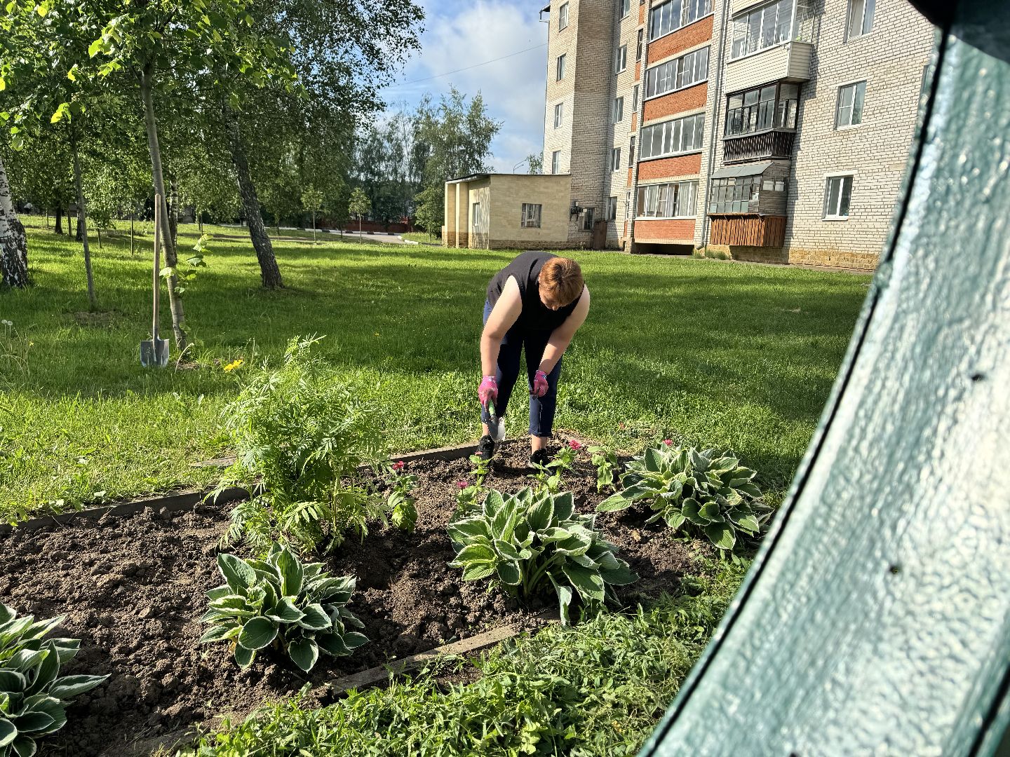 шаховская, высадка цветов, коммунальная служба, клумбы,
