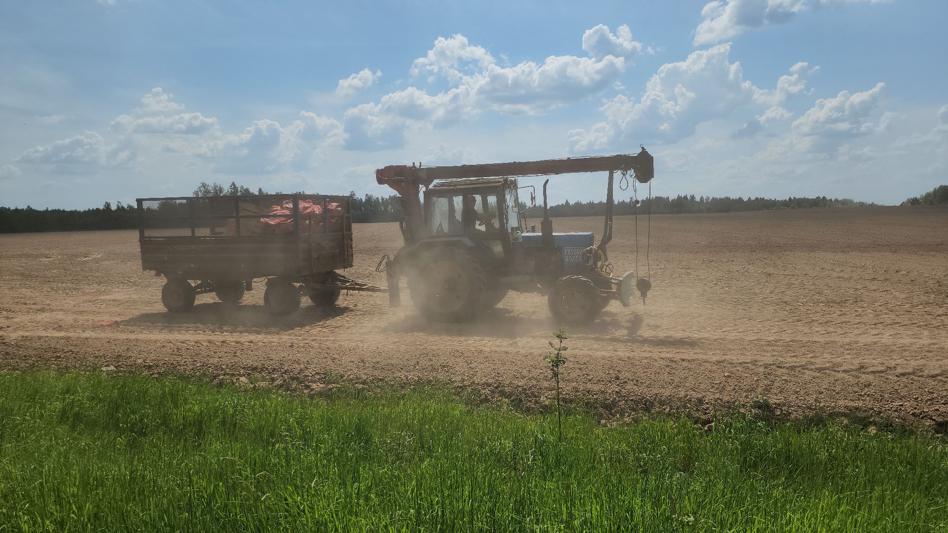 рузское молоко, агрохолдинг рузское молоко, посевная 2024, посевная кампания, руза, рузский городской округ, московская область,