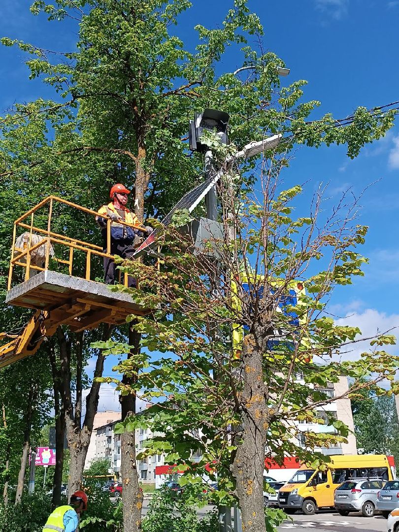 План добрых дел, Шатура, Большая Шатура, благоустройство, деревья,