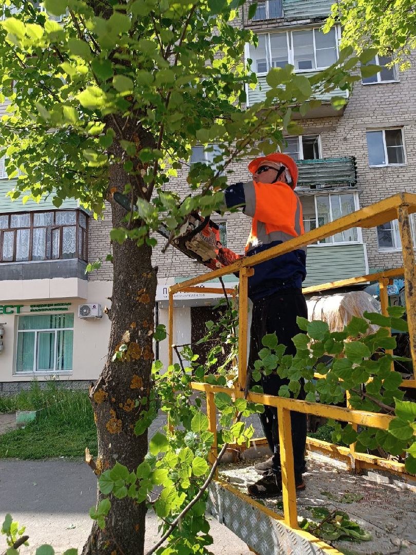 План добрых дел, Шатура, Большая Шатура, благоустройство, деревья,