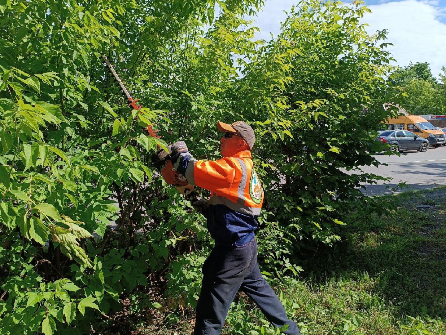 План добрых дел, Шатура, Большая Шатура, благоустройство, деревья,