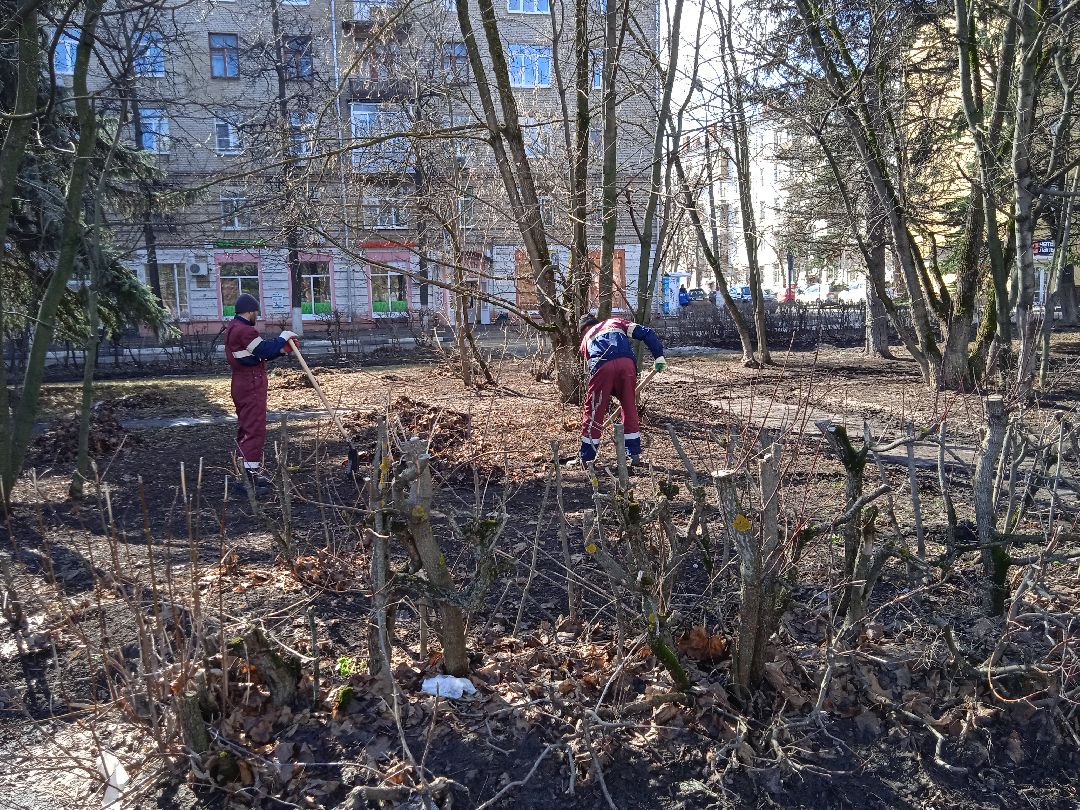 сквер, работы, благоустройство, Звёздный, бульвар