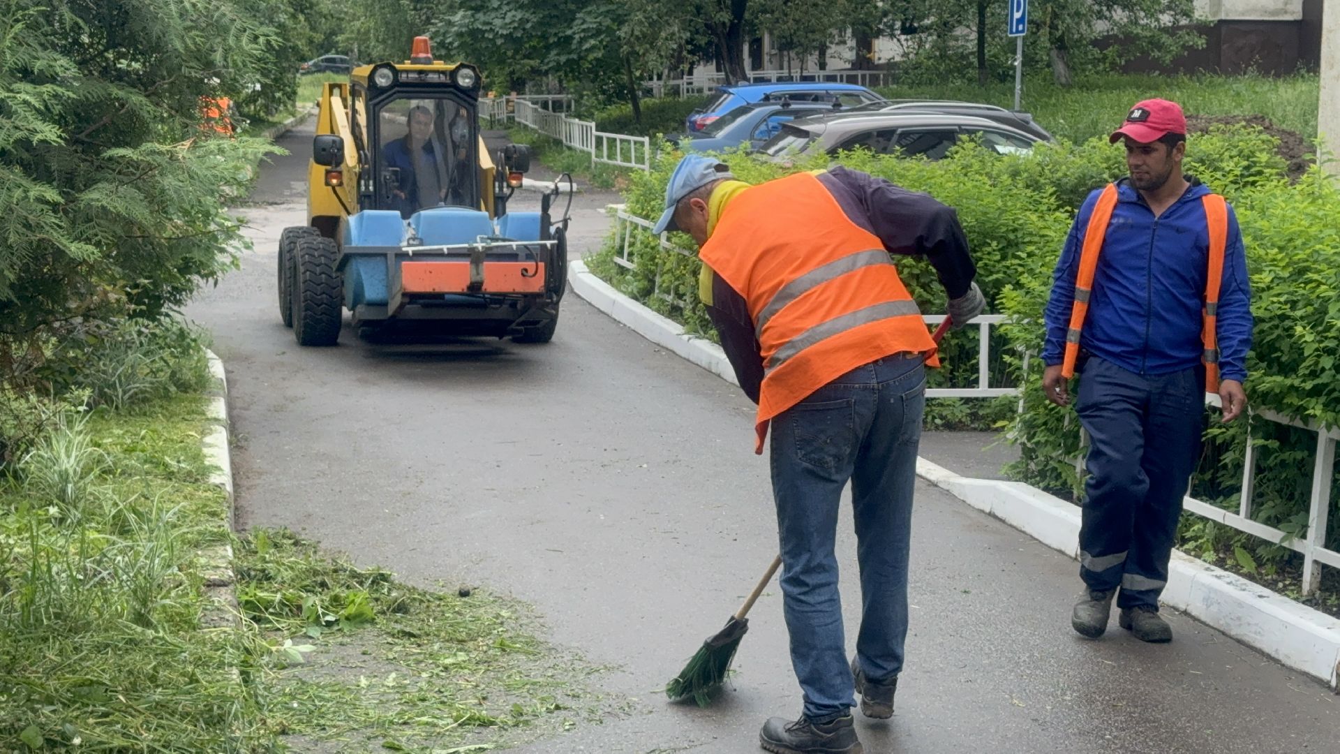 Солнечногорск, благоустройство, уборка дворов, покос травы, жители,
