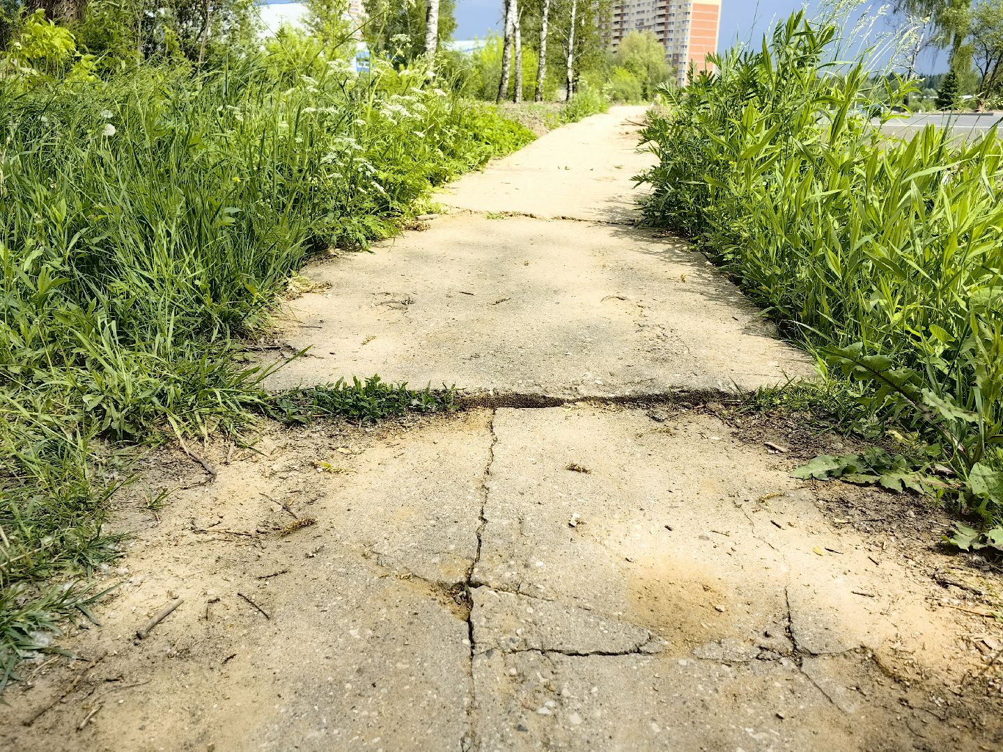 выездная администрация, жалобы жителей, стоянка, мусор, ремонт дороги, щёлково,