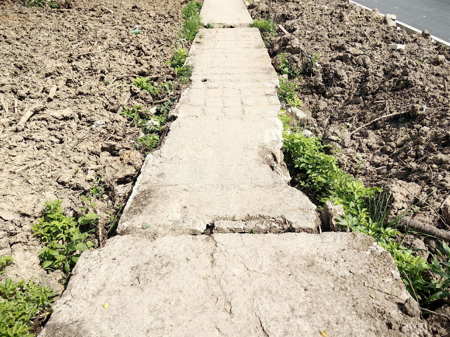 выездная администрация, жалобы жителей, стоянка, мусор, ремонт дороги, щёлково,