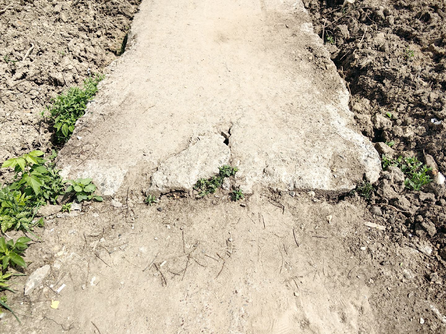 выездная администрация, жалобы жителей, стоянка, мусор, ремонт дороги, щёлково,