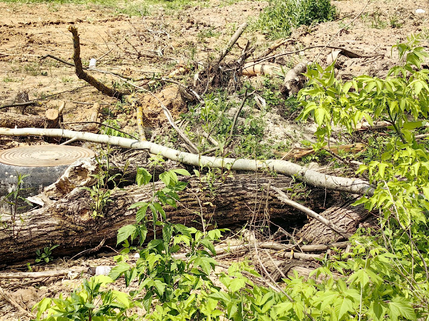 выездная администрация, жалобы жителей, стоянка, мусор, ремонт дороги, щёлково,