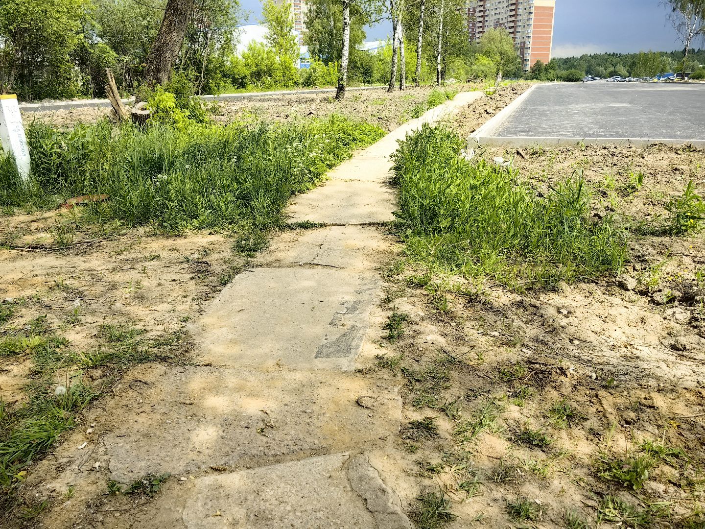 выездная администрация, жалобы жителей, стоянка, мусор, ремонт дороги, щёлково,