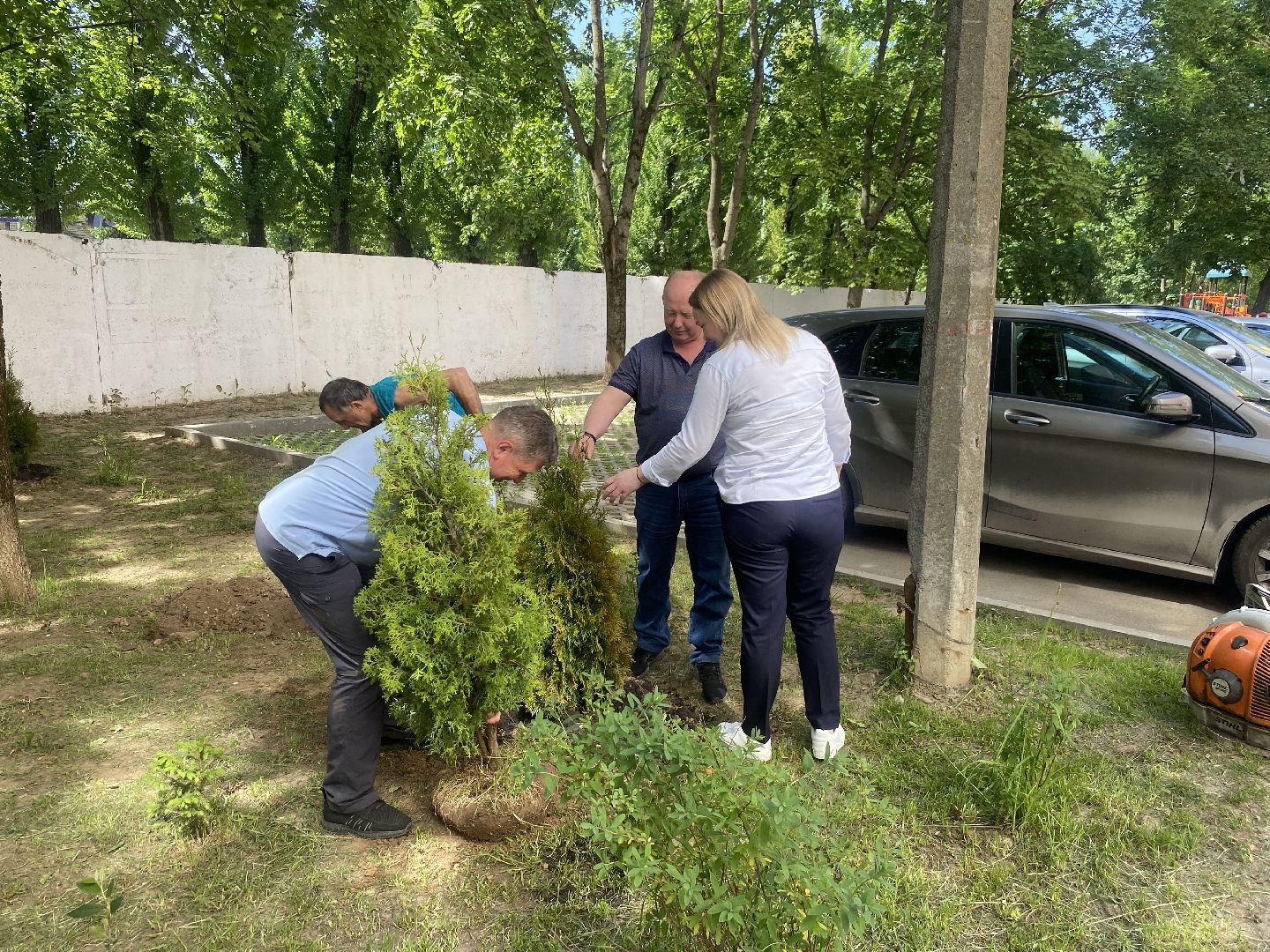 Власиха Солнечная, обход территории, озеленение двора, посадка деревьев, детская игровая площадка, власиха благоустройство,