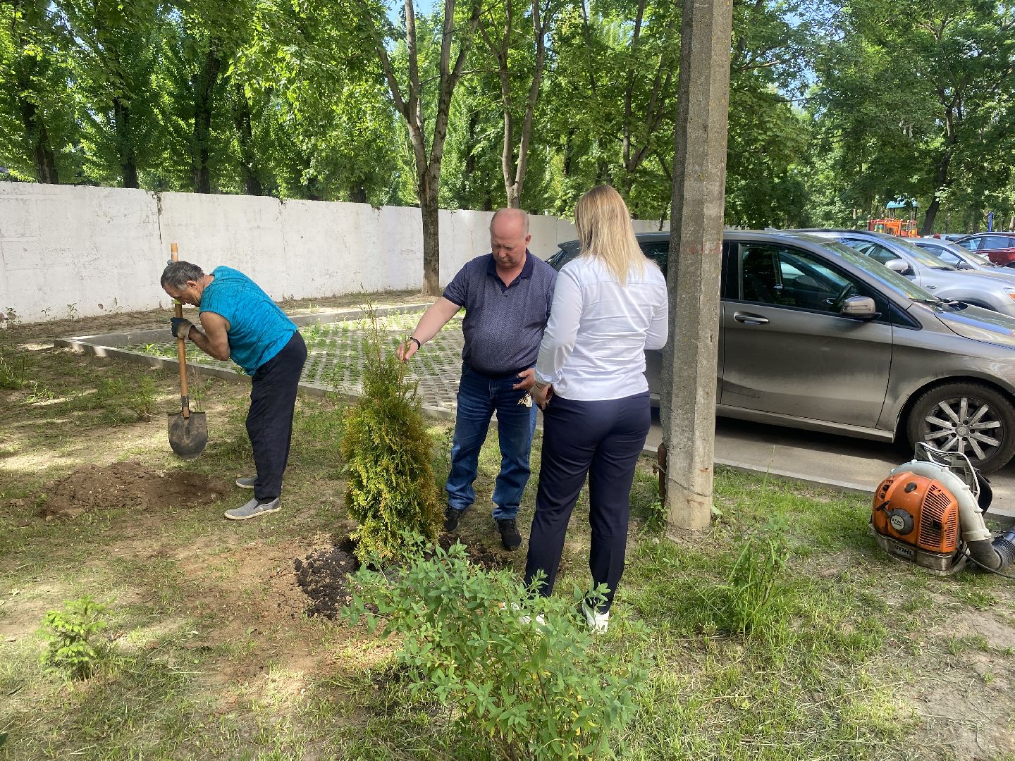 Власиха Солнечная, обход территории, озеленение двора, посадка деревьев, детская игровая площадка, власиха благоустройство,