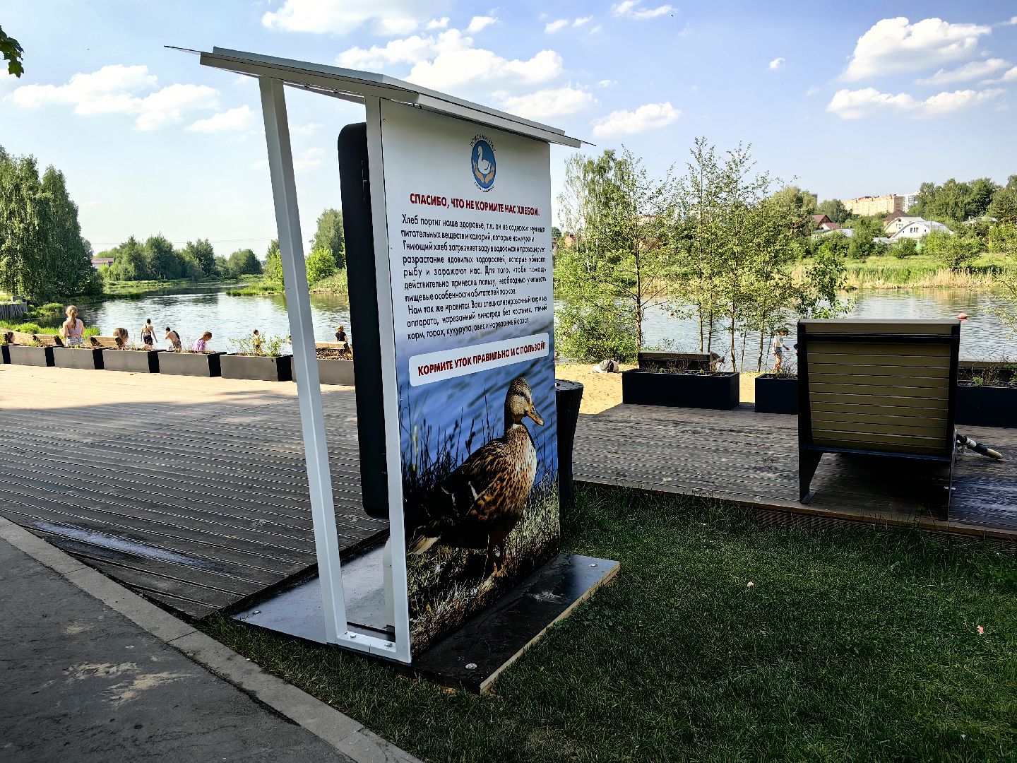 утки, корм для уток, аппарат с кормом, парк, река, щёлково, животные,