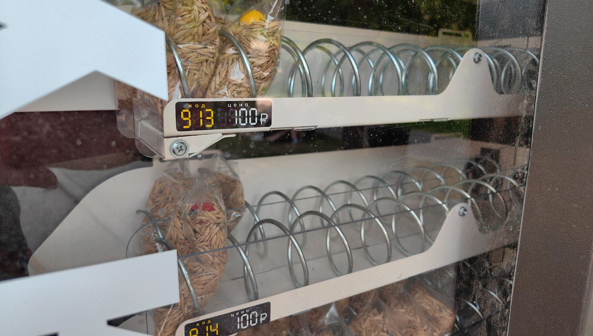 утки, корм для уток, аппарат с кормом, парк, река, щёлково, животные,