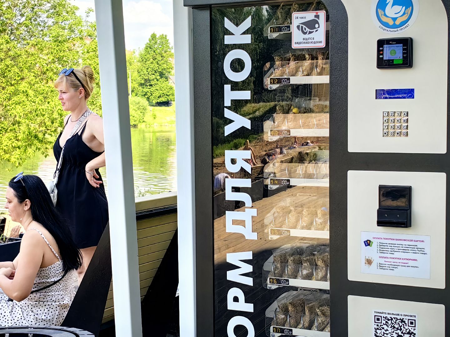 утки, корм для уток, аппарат с кормом, парк, река, щёлково, животные,