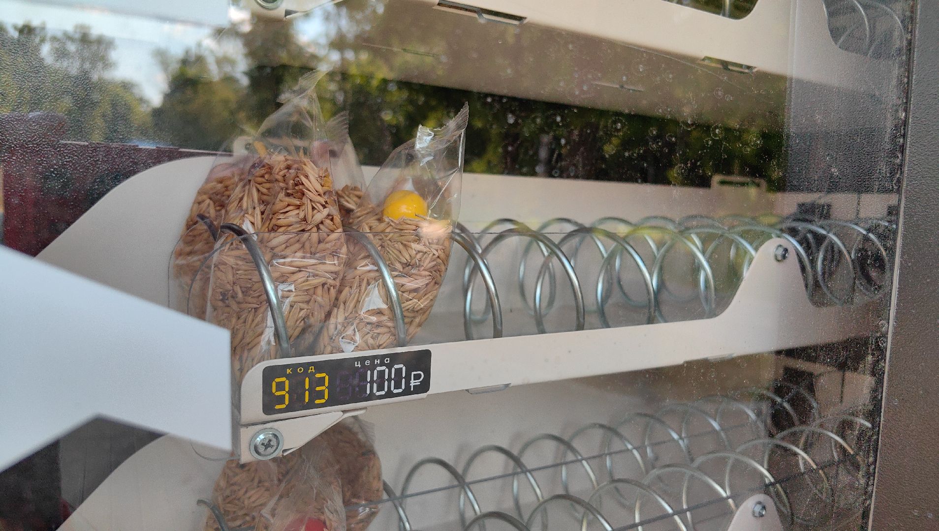 утки, корм для уток, аппарат с кормом, парк, река, щёлково, животные,