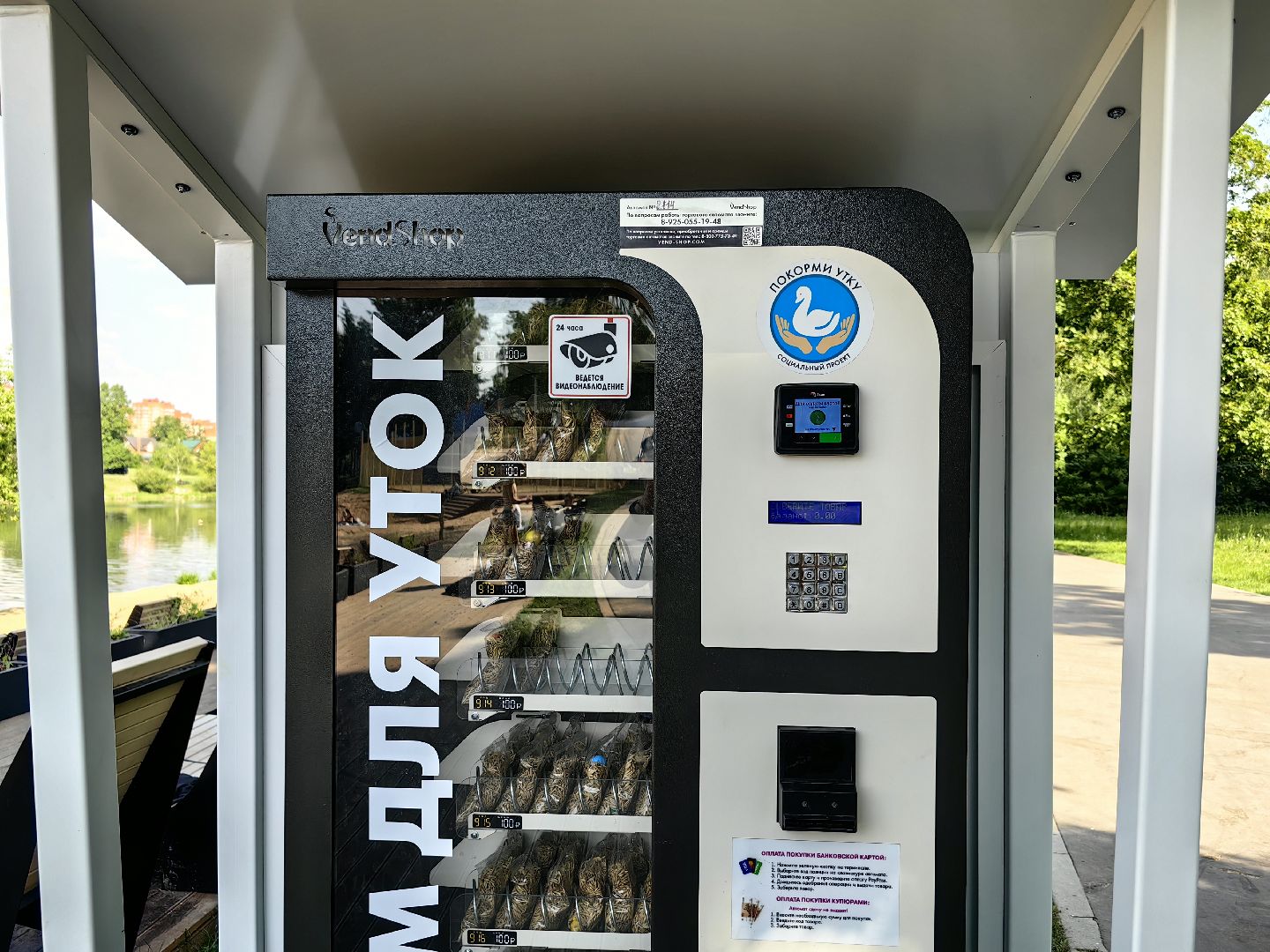 утки, корм для уток, аппарат с кормом, парк, река, щёлково, животные,