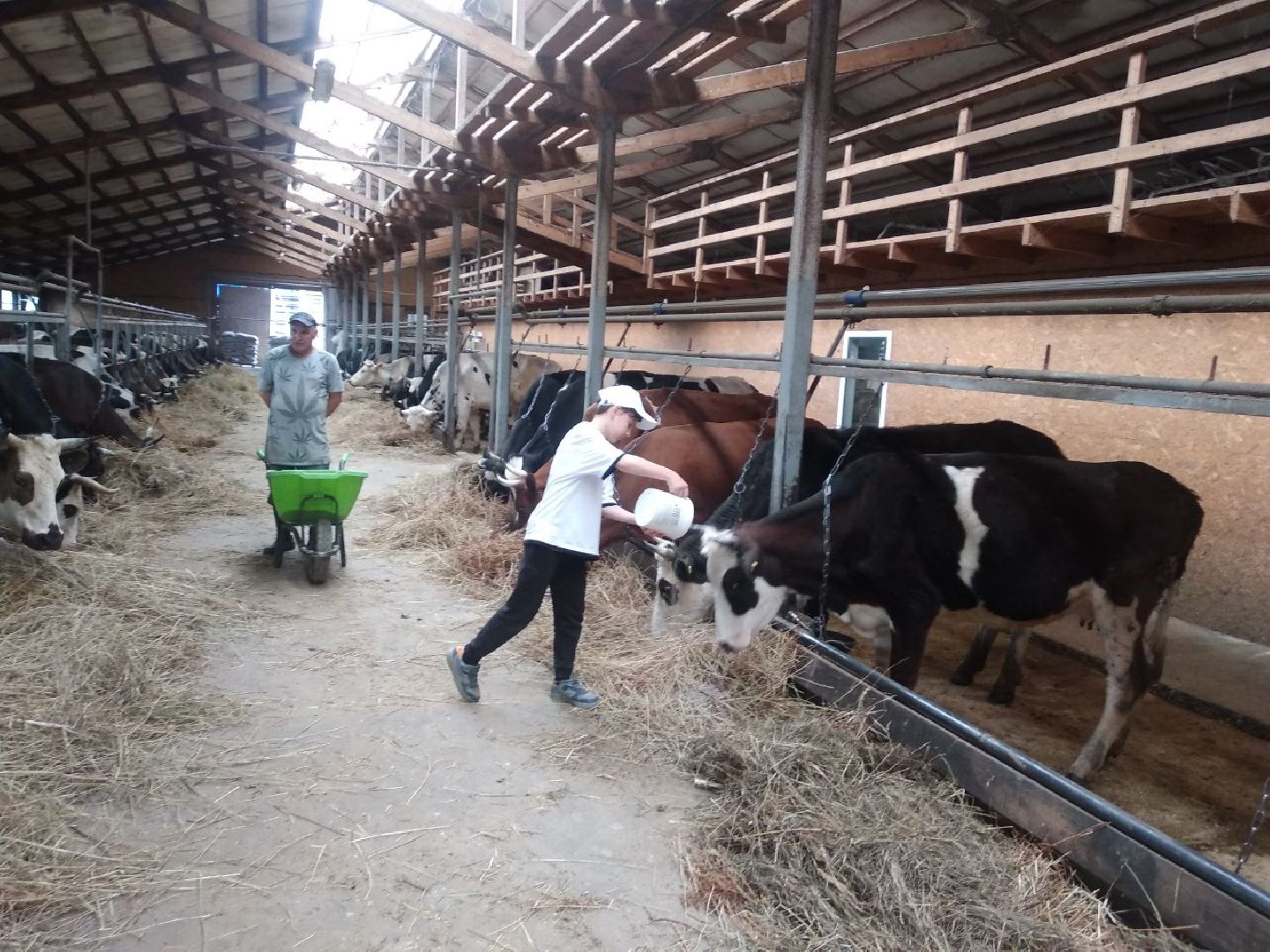 Дмитров, КФХ Свободный труд, Семья Булатовых,