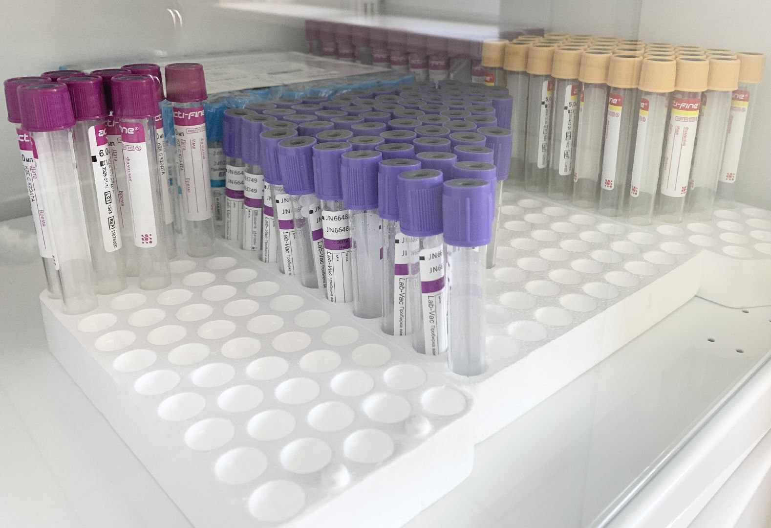 Балашиха, Подмосковье, Студенты медики, московский областной онкологический диспансер, практика,