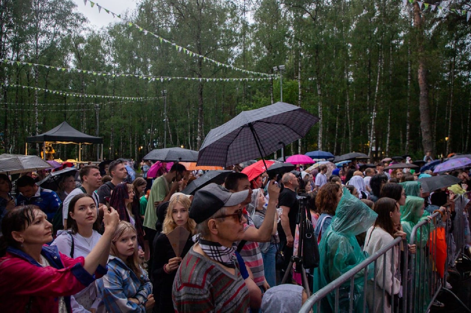 парк Елочки, министр культуры Подмосковья, зампред правительства Подмосковья, Домодедово,