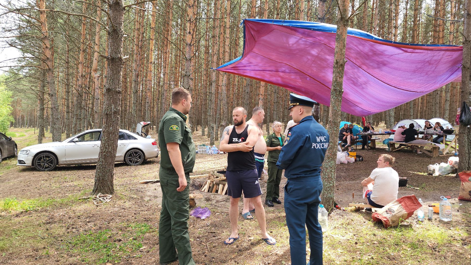 воскресенск, пожарная безопасность, лес, лесничество,