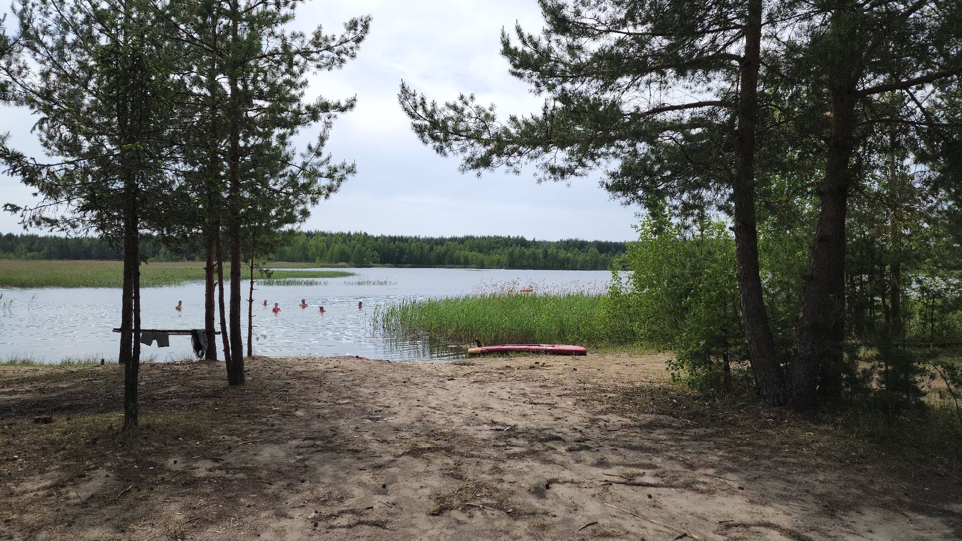 воскресенск, пожарная безопасность, лес, лесничество,