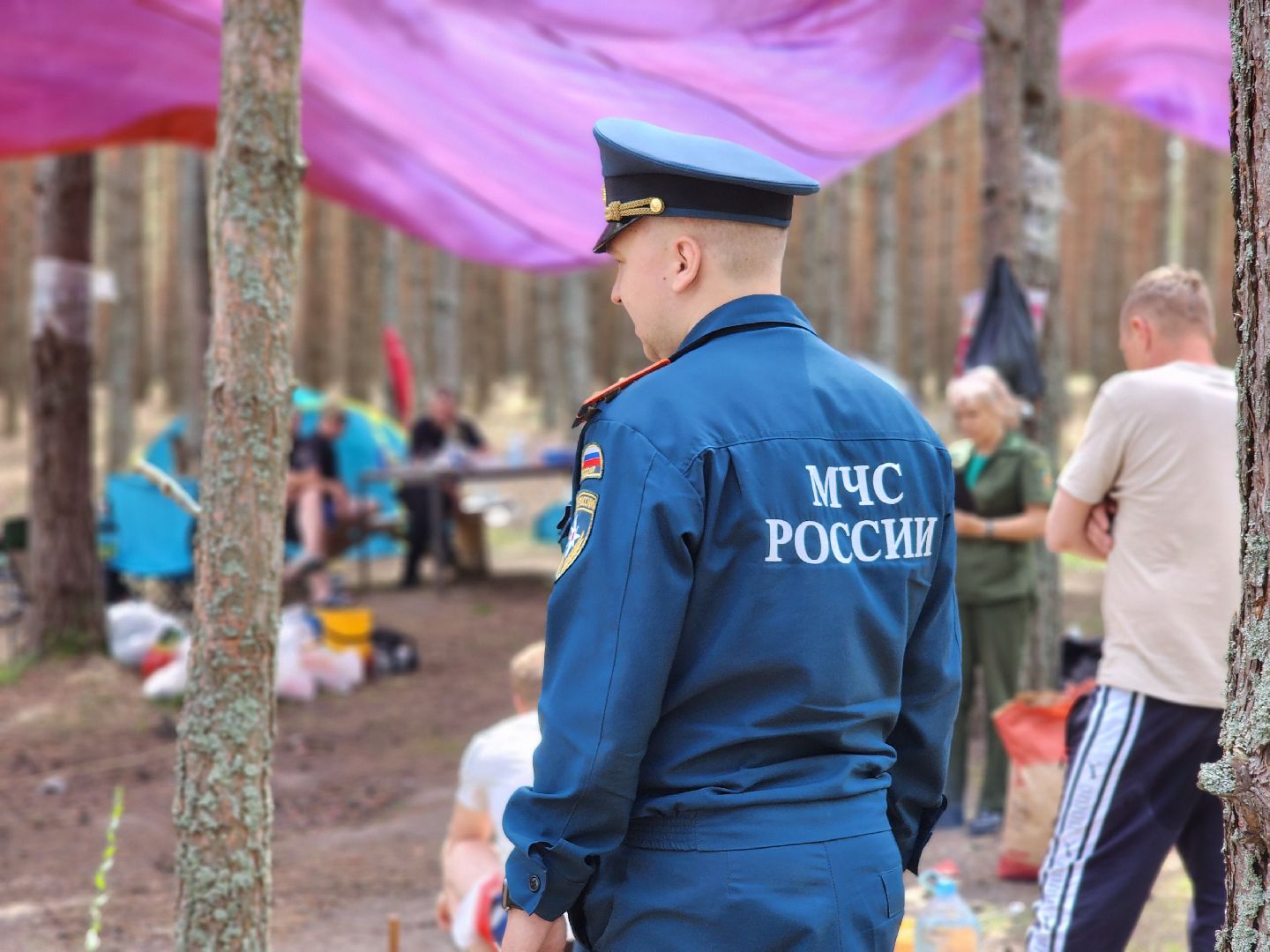 воскресенск, пожарная безопасность, лес, лесничество,