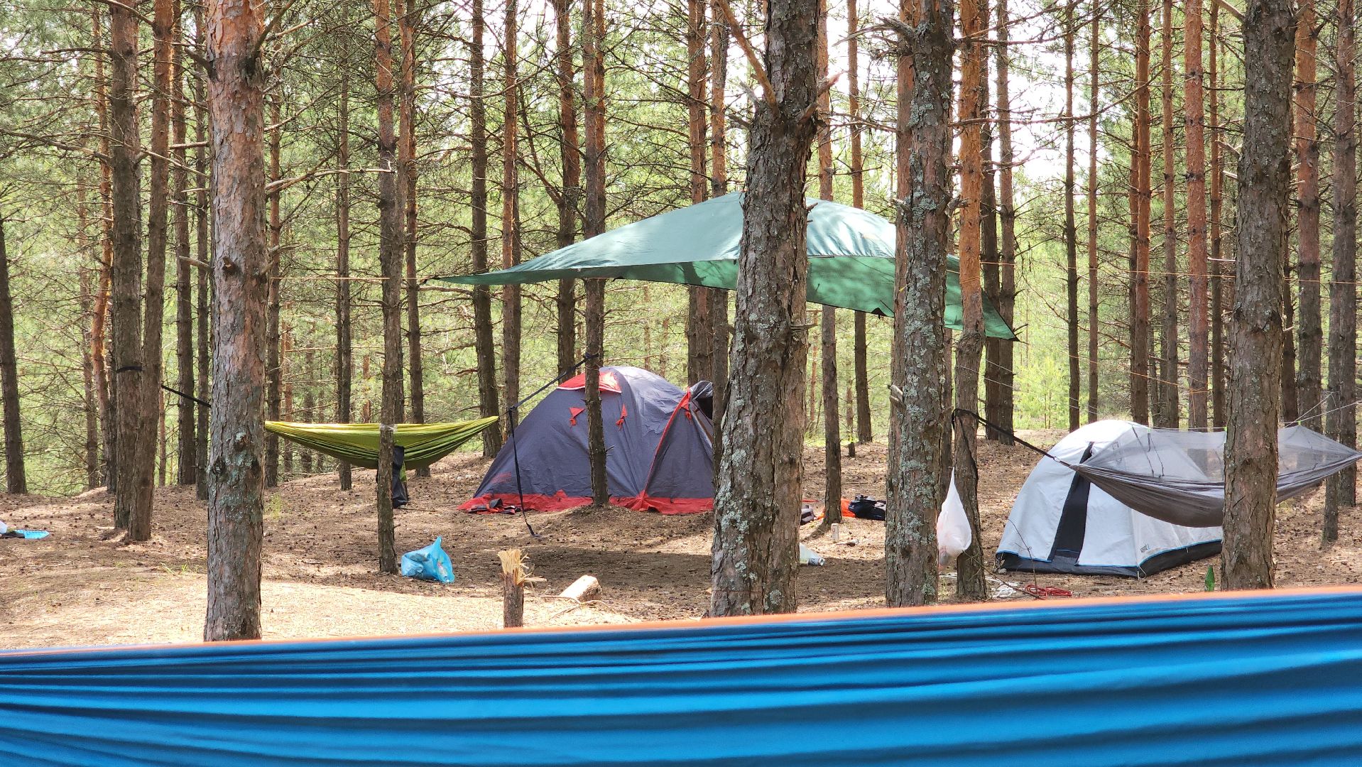 воскресенск, пожарная безопасность, лес, лесничество,