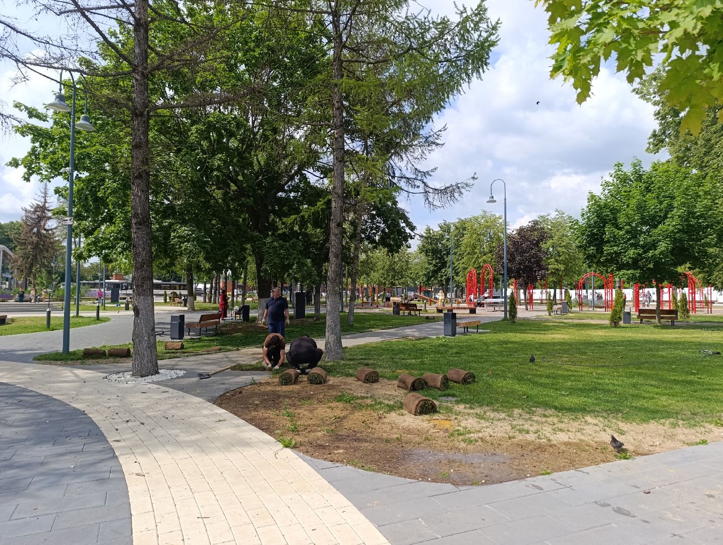 Бртнницы, Благоустройство, Газон, Замена газона, мбу благоустройство,