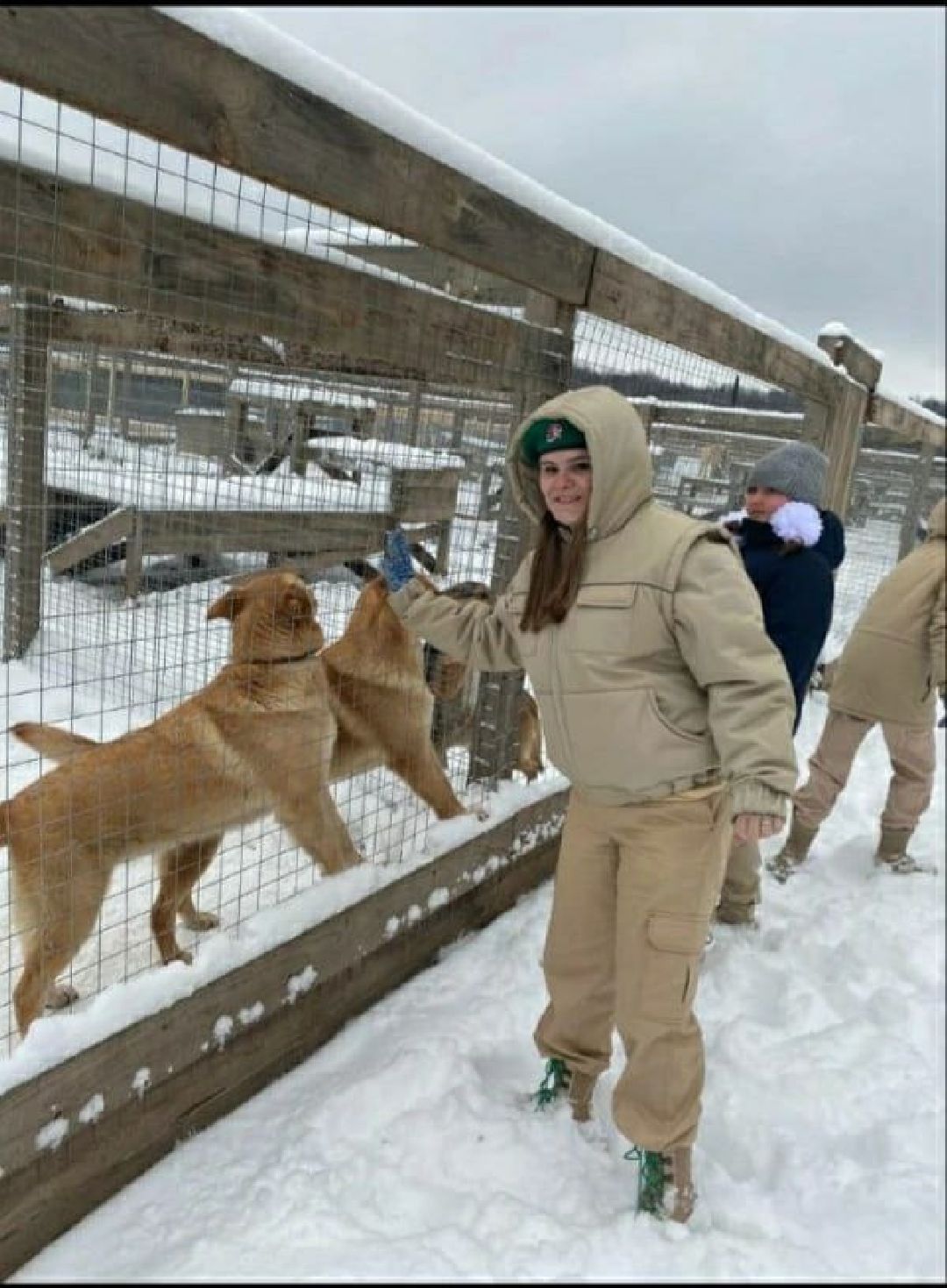 Конкурс, Творчество, Молодежь, Музыка, Вокал