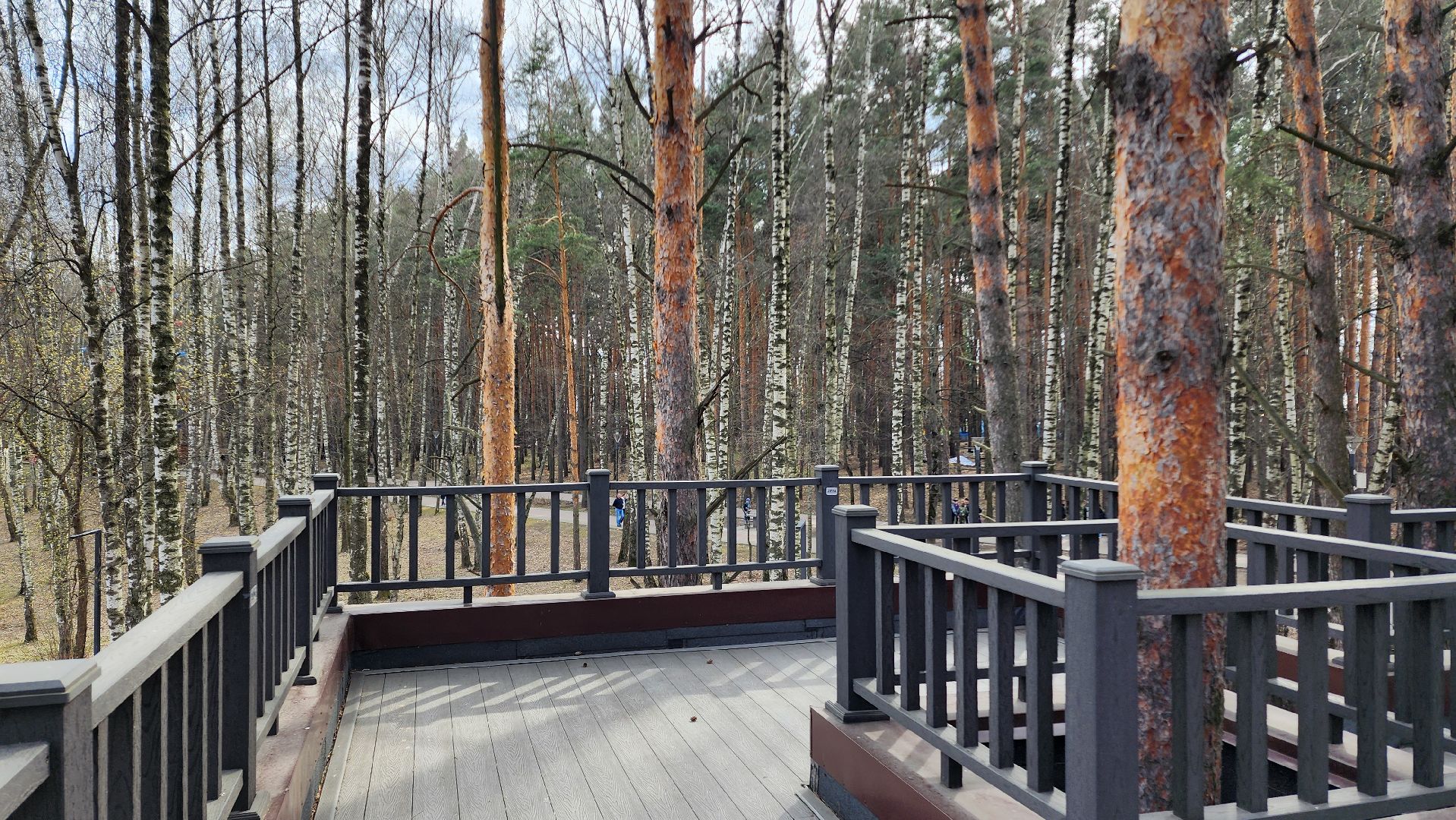 Домодедово, Подмосковье, летняя веранда, Терраса, парк, Елочки, Культура, Общество, общепит, Ресторан,