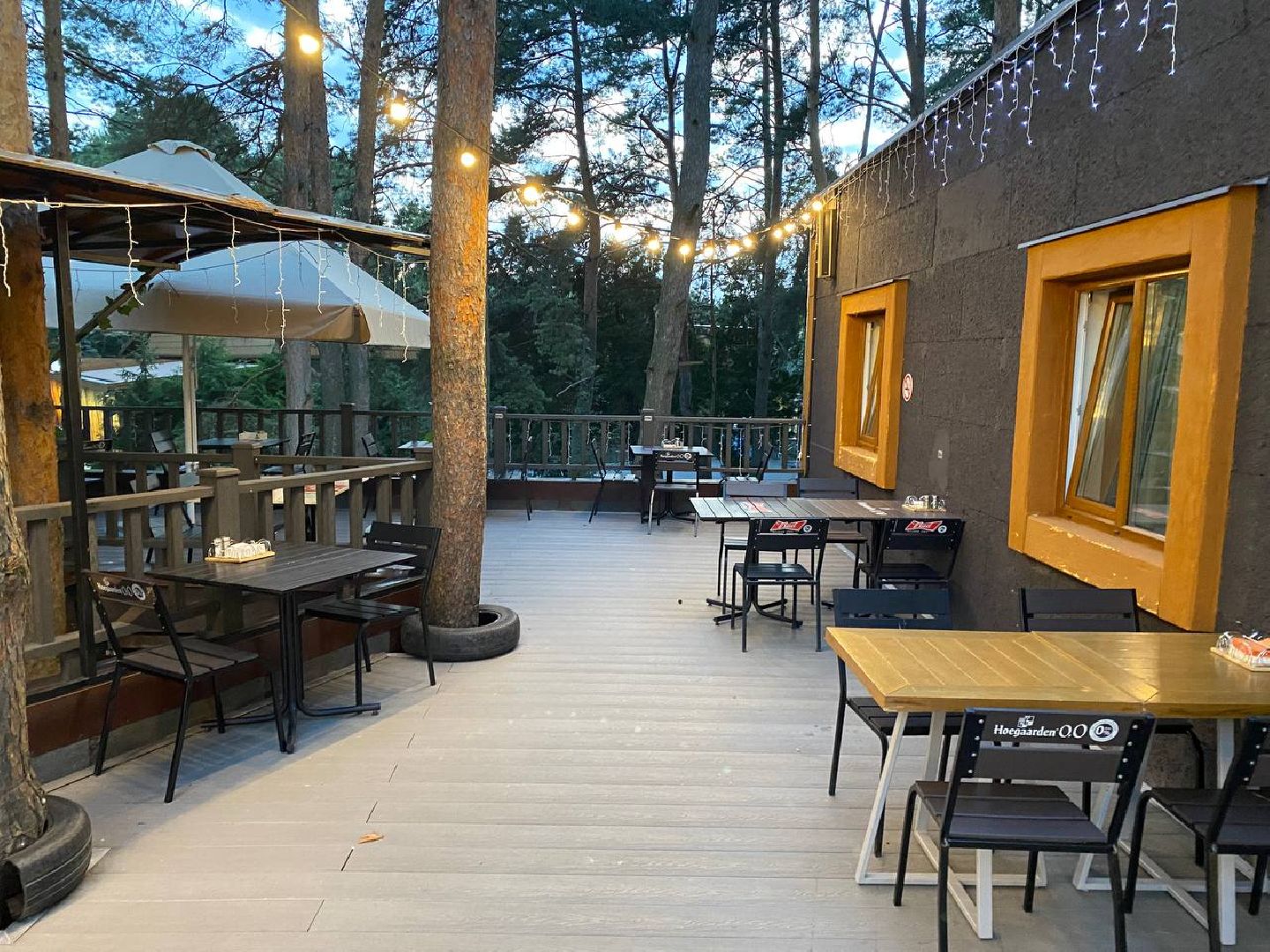 Домодедово, Подмосковье, летняя веранда, Терраса, парк, Елочки, Культура, Общество, общепит, Ресторан,