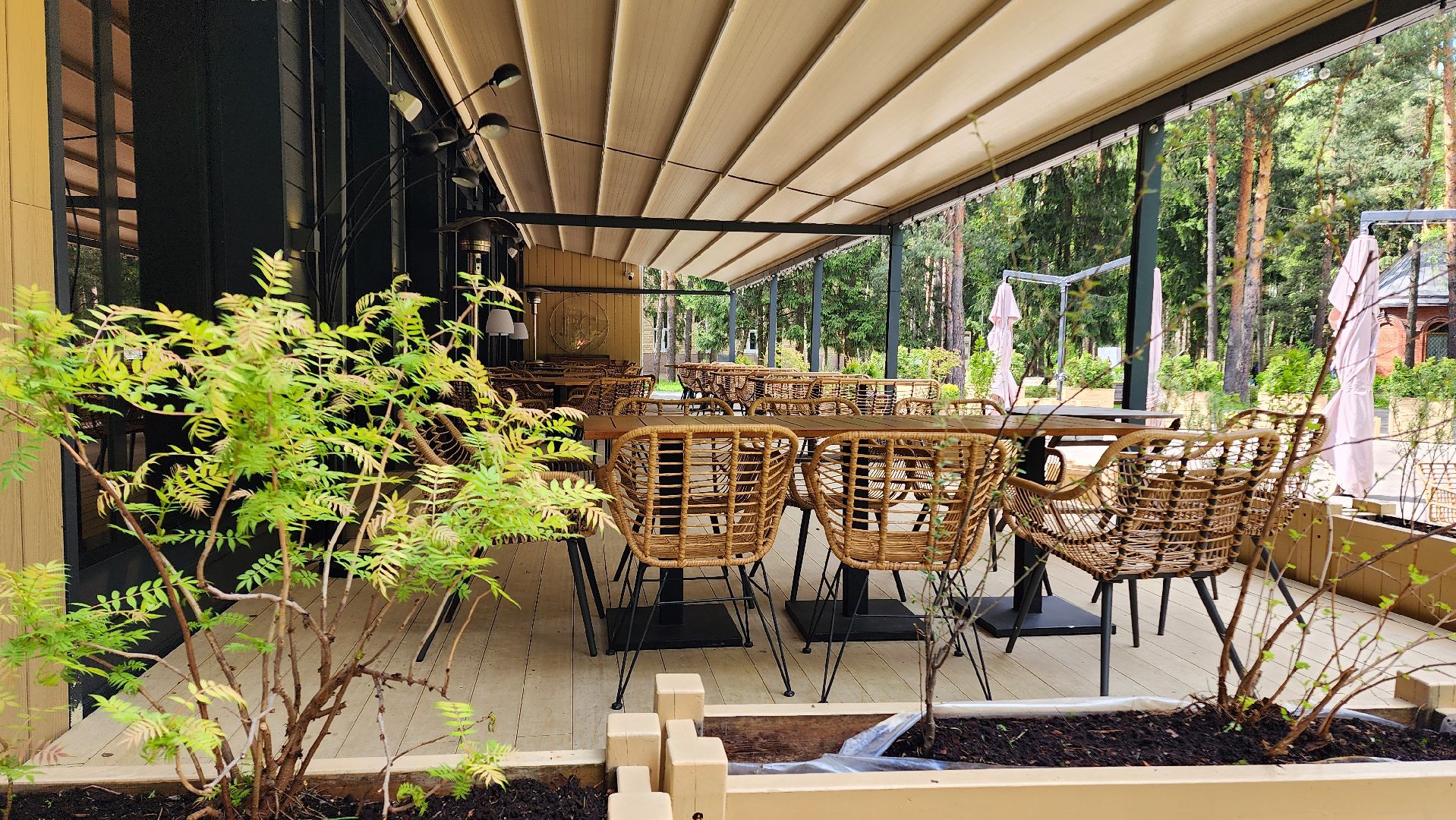 Домодедово, Подмосковье, летняя веранда, Терраса, парк, Елочки, Культура, Общество, общепит, Ресторан,