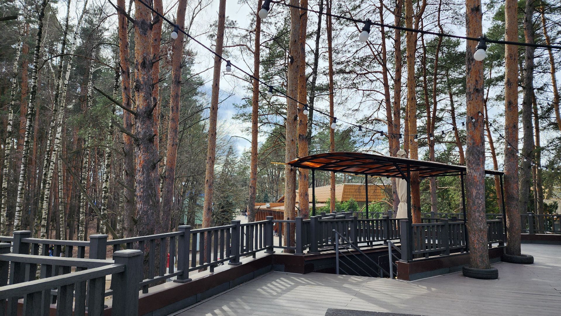 Домодедово, Подмосковье, летняя веранда, Терраса, парк, Елочки, Культура, Общество, общепит, Ресторан,