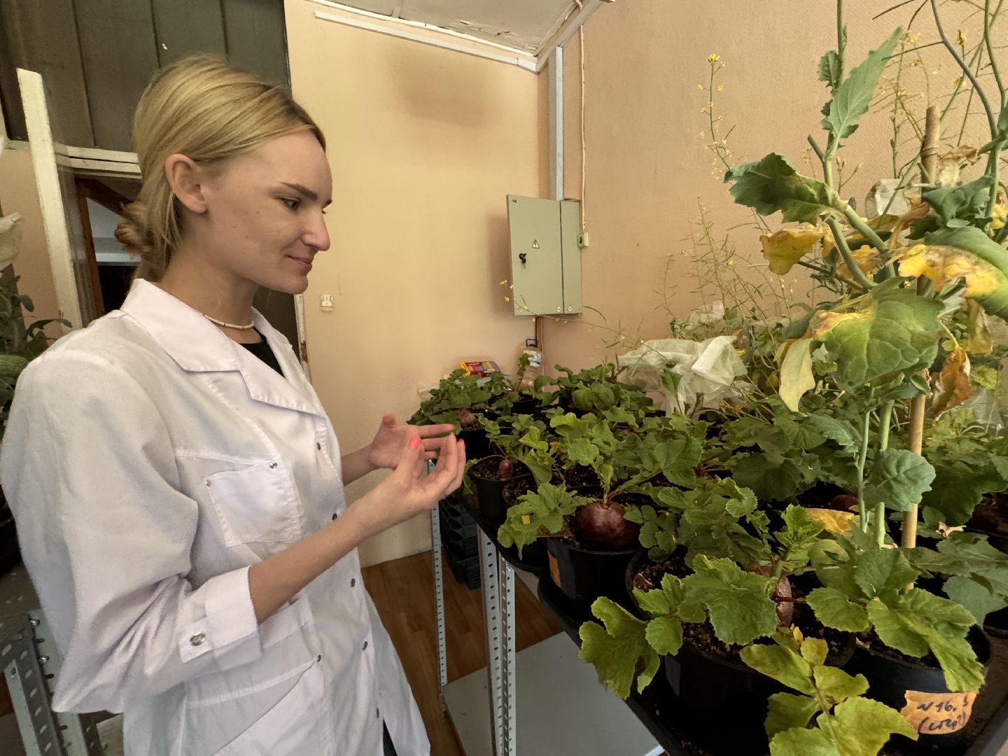 Одинцово, Федеральный научный центр овощеводства, Молодые учные,