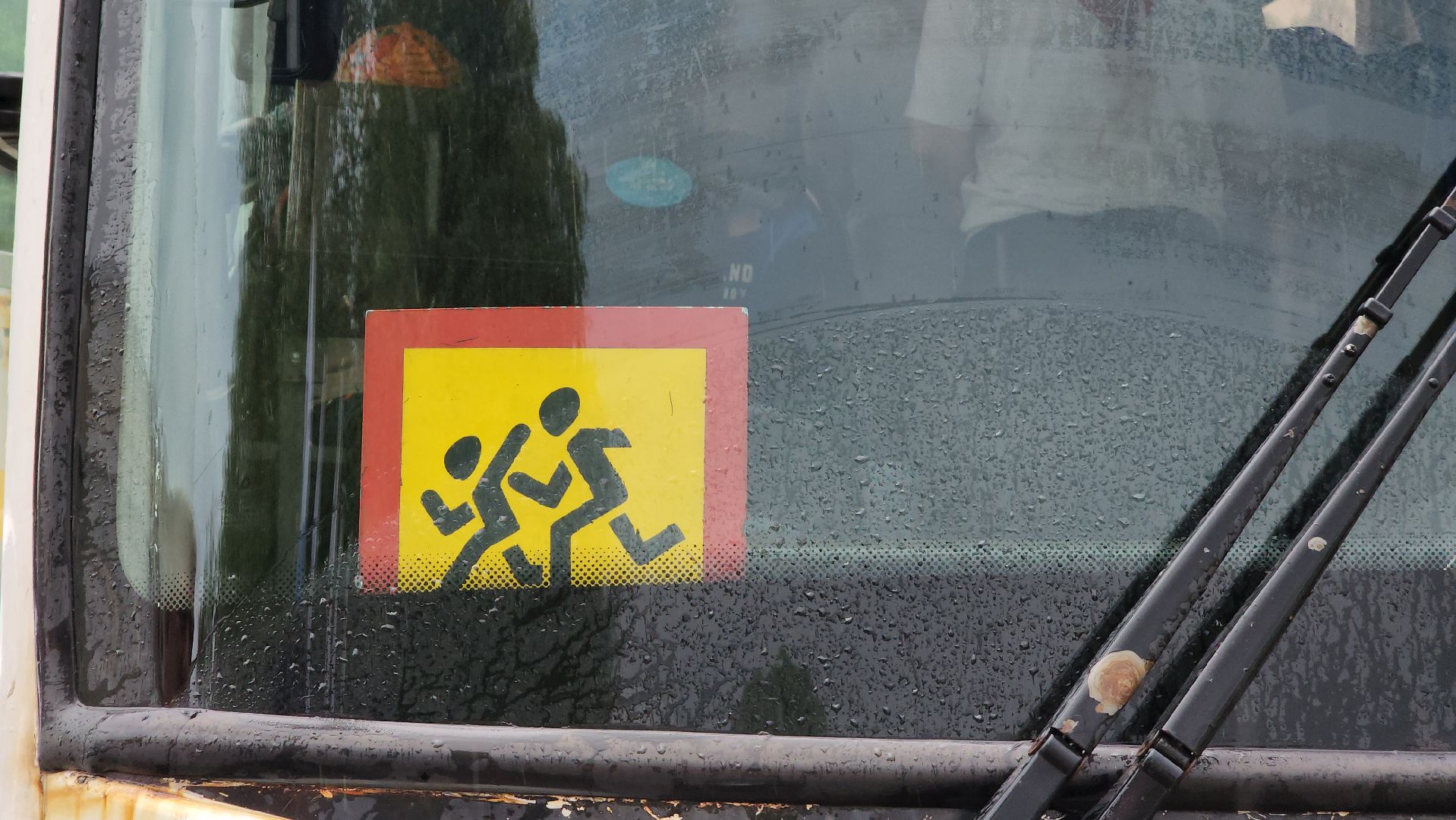 Дубна, Сосновый бор, Лагерь, Первая смена, Дети,