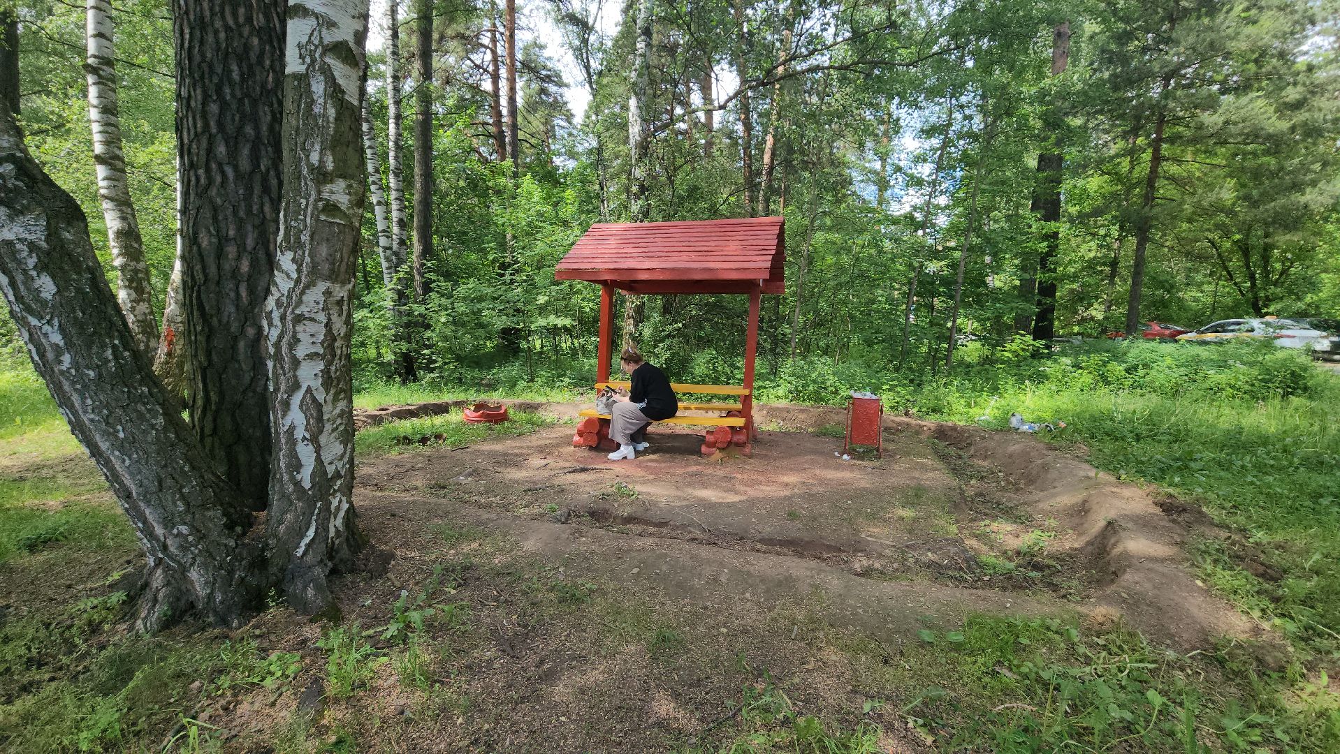 ивантеевка, благоустройство, лес, зона отдыха,