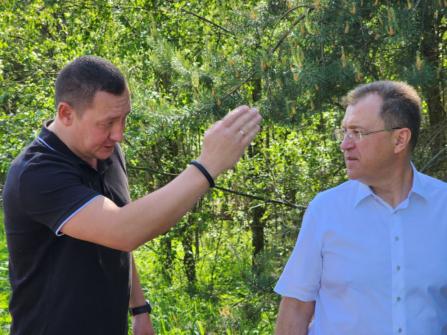 ногинск, снт, богородский городской округ, жители, общество, подтопления, реки,